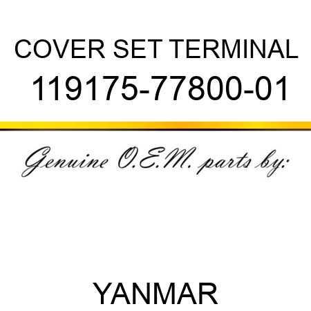 COVER SET, TERMINAL 119175-77800-01