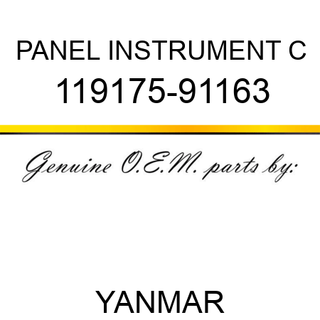 PANEL, INSTRUMENT C 119175-91163