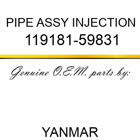 PIPE ASSY, INJECTION 119181-59831