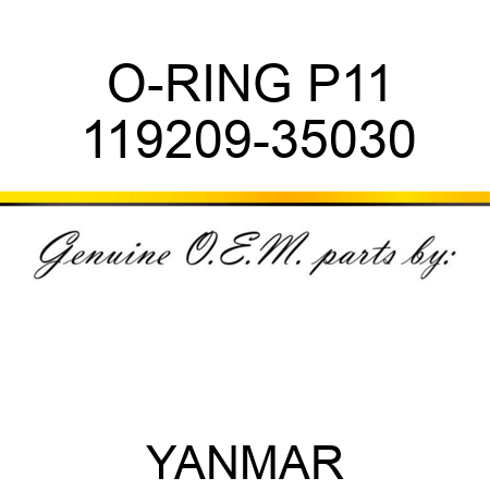 O-RING, P11 119209-35030