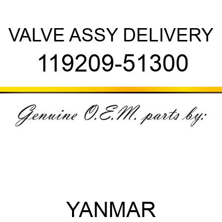 VALVE ASSY, DELIVERY 119209-51300