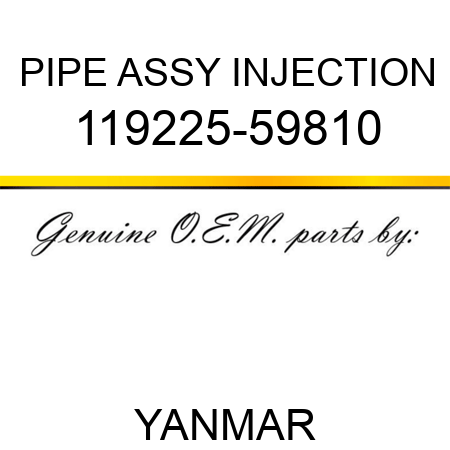 PIPE ASSY, INJECTION 119225-59810