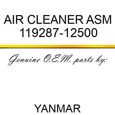 AIR CLEANER ASM 119287-12500