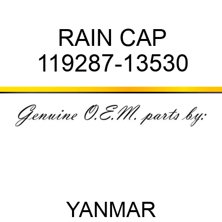 RAIN CAP 119287-13530
