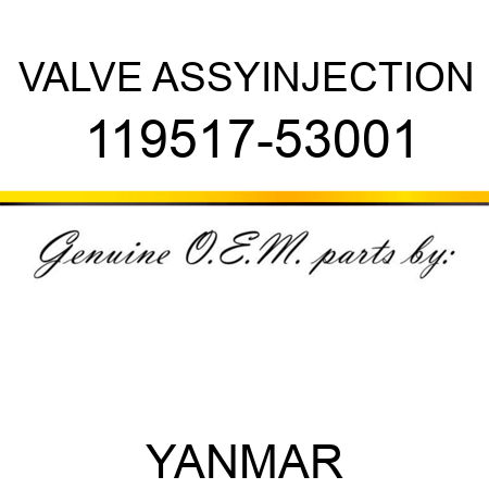 VALVE ASSY,INJECTION 119517-53001