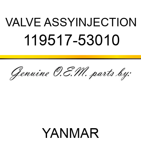 VALVE ASSY,INJECTION 119517-53010