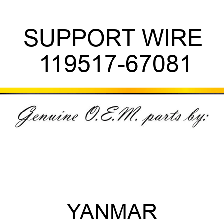 SUPPORT, WIRE 119517-67081