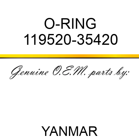O-RING 119520-35420