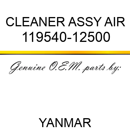 CLEANER ASSY, AIR 119540-12500