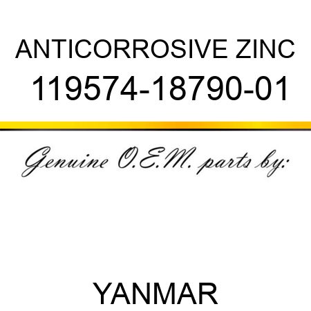 ANTICORROSIVE ZINC 119574-18790-01