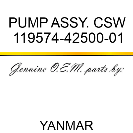 PUMP, ASSY., CSW 119574-42500-01