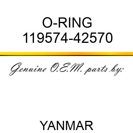 O-RING 119574-42570