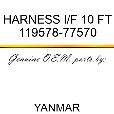 HARNESS, I/F 10 FT 119578-77570