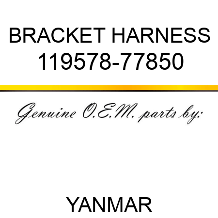 BRACKET, HARNESS 119578-77850