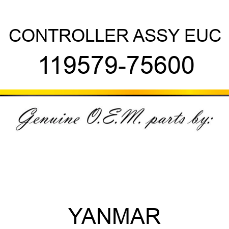 CONTROLLER ASSY, EUC 119579-75600