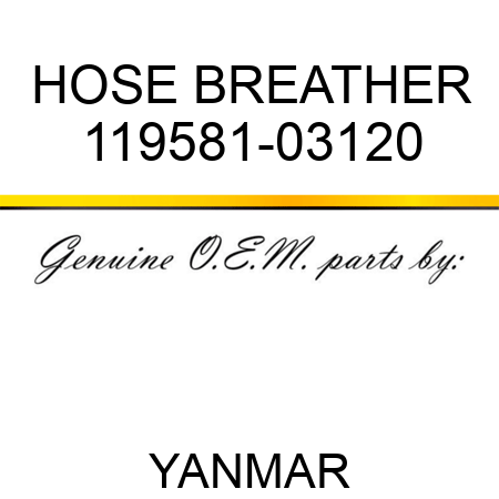 HOSE, BREATHER 119581-03120