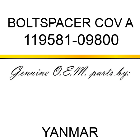 BOLT,SPACER COV A 119581-09800