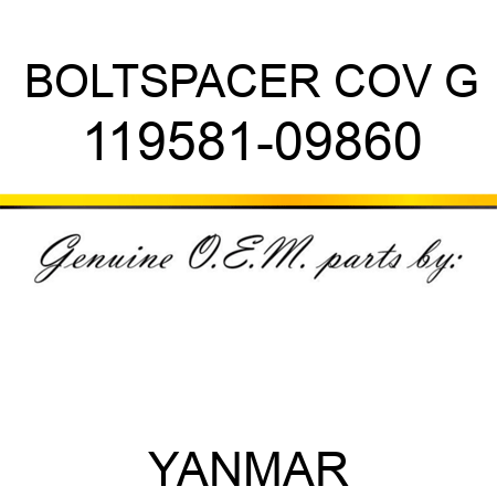 BOLT,SPACER COV G 119581-09860