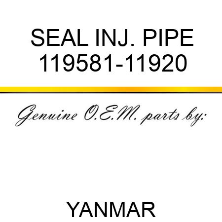 SEAL, INJ. PIPE 119581-11920