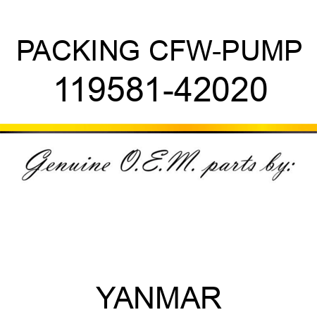 PACKING, CFW-PUMP 119581-42020