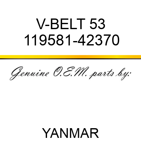 V-BELT, 53 119581-42370