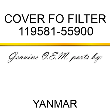 COVER, FO FILTER 119581-55900