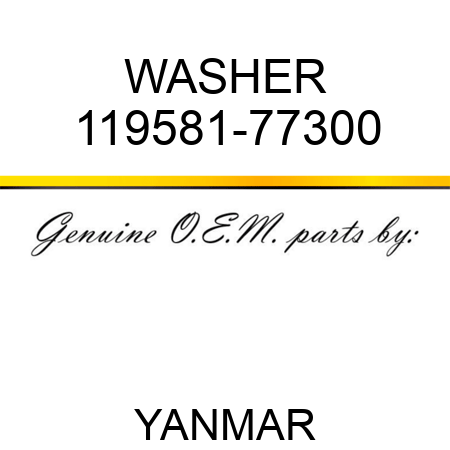 WASHER 119581-77300