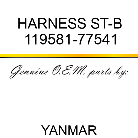HARNESS, ST-B 119581-77541