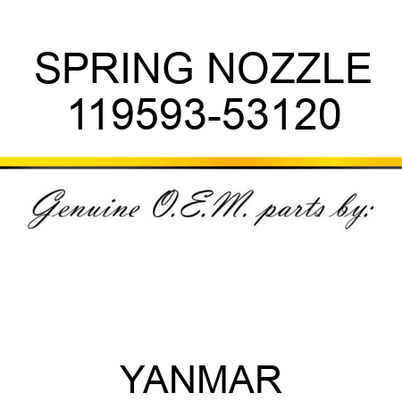 SPRING, NOZZLE 119593-53120