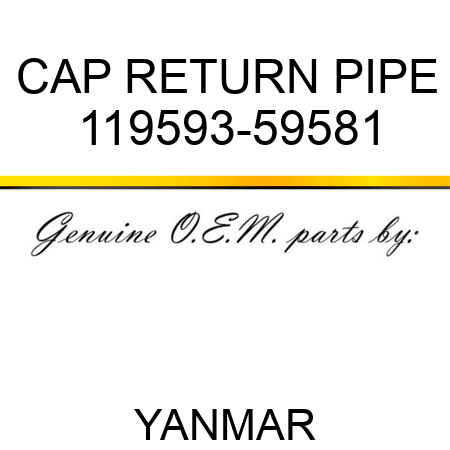 CAP, RETURN PIPE 119593-59581