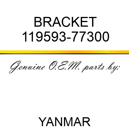 BRACKET 119593-77300