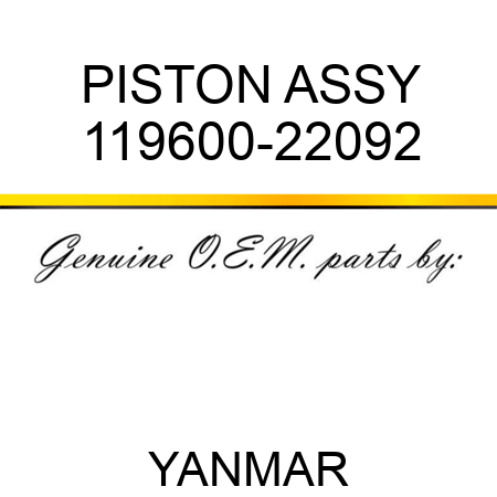 PISTON ASSY 119600-22092