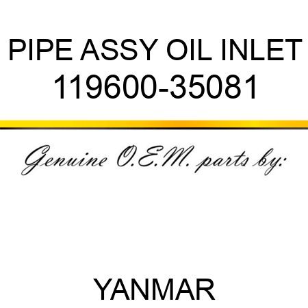 PIPE ASSY, OIL INLET 119600-35081