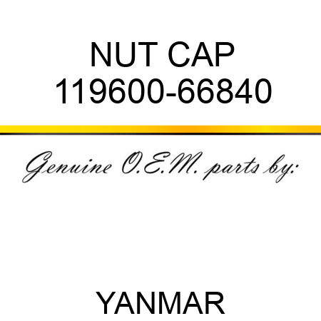NUT, CAP 119600-66840