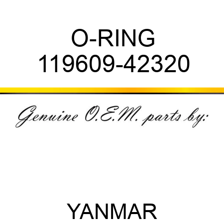 O-RING 119609-42320