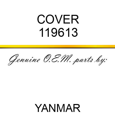 COVER 119613