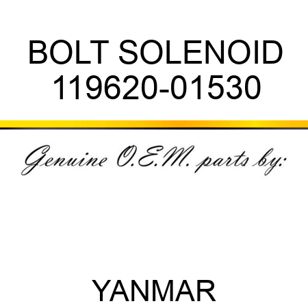 BOLT, SOLENOID 119620-01530