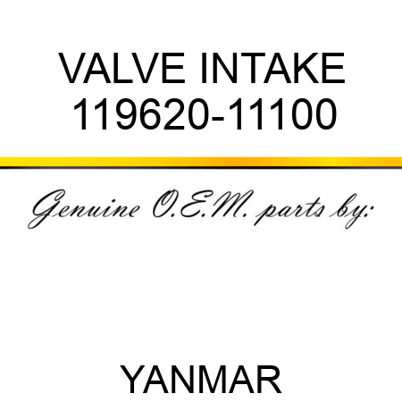 VALVE, INTAKE 119620-11100