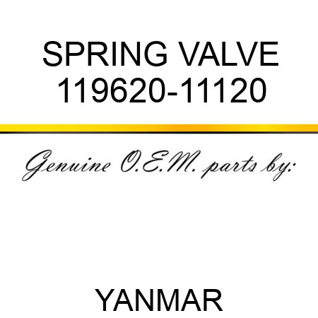 SPRING, VALVE 119620-11120