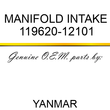 MANIFOLD, INTAKE 119620-12101