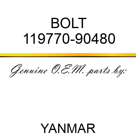 BOLT 119770-90480