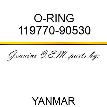 O-RING 119770-90530