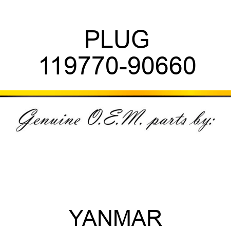 PLUG 119770-90660