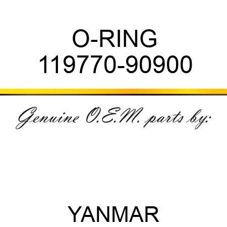 O-RING 119770-90900
