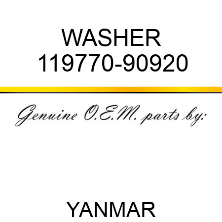 WASHER 119770-90920