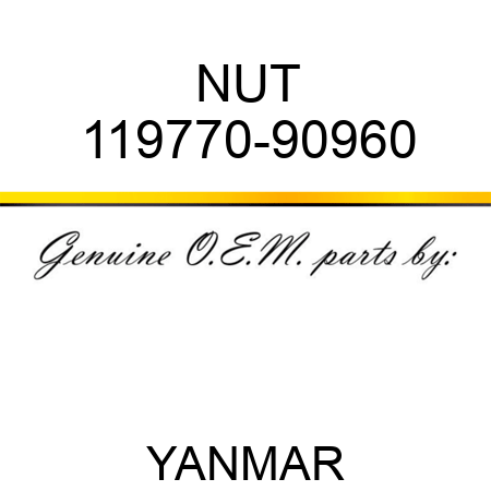 NUT 119770-90960