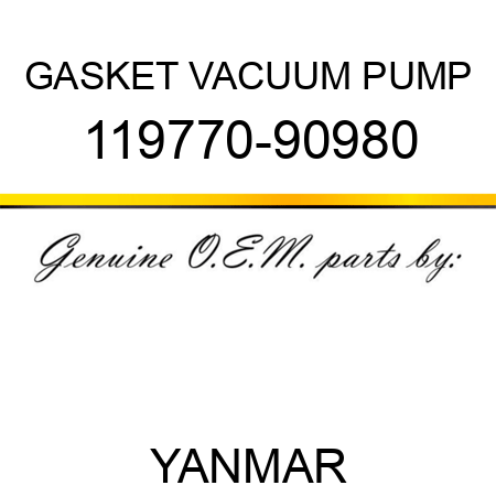 GASKET, VACUUM PUMP 119770-90980