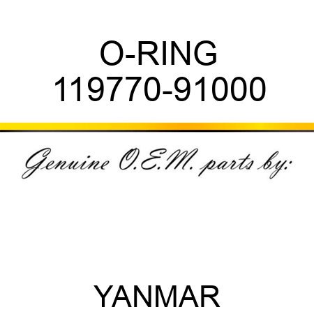 O-RING 119770-91000