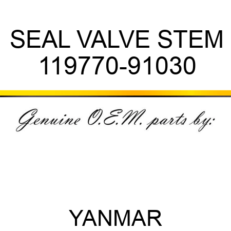 SEAL, VALVE STEM 119770-91030