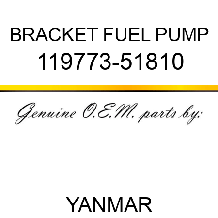 BRACKET, FUEL PUMP 119773-51810